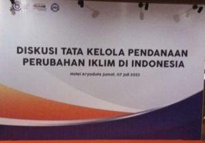 Bantuan Mengalir Deras, Tata Kelola Dana Perubahan Iklim Harus Akuntabel